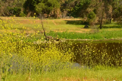 DSC_6385 (Large).JPG